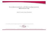 hemodynamics fundamentals