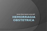 Hemorragia Obstetrica
