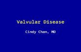 Valvular Diseases - Students