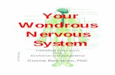 Wondrous Nervous System ADP2356