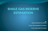 Shale Gas Reserve Estimation