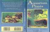 Aquarium Plants - Barry James