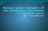 Ballast Water Transport of Non-Indigenous Zooplankton to Canadian Ports