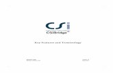 Csi Bridge Key Features and Terminology