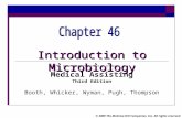 Chapter 46 Introduction to Microbiology