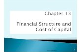 Financial structure and cost of capital