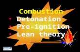 PTC01-13 Combustion Theory (1-2004)
