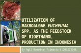 Utilization of Makroalgae Eucheuma Spp
