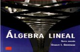 Algebra Lineal 6ta Edicion Stanley Grossman