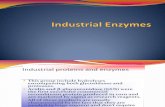 Application of Plant Biotechnology for Production of Industrial Enzymes by Dr. Shachi