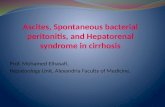 Ascites, Spontaneous Bacterial Peritonitis, And Hepatorenal