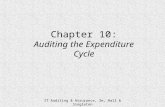 Ch10_Auditing Expenditure Cycle
