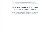 An Experts Guide to ERP Success Chapter One