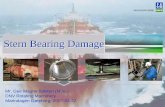 DNV Bearing Damage Story