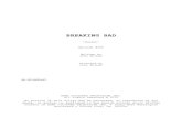 Script for Breaking Bad Season 3 Episode 6: Sunset.