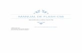 Manual de Flash Cs6 V2