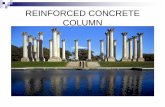 Reinforced Concrete (Column)