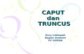 Caput dan Truncus.ppt