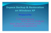 Dspace Backup Methods Step by Step