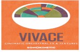 Sonokinetic Vivace 1.1 - reference manual