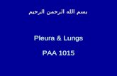 Pleura & Lungs.ppt