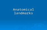 Anatomical landmarks-prosthodontics.ppt