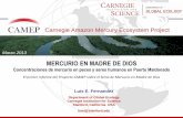 CAMEP PowerPoint- Estudio Puerto Maldonado - Espanol