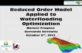 Reduced Order Model Applied to Water Flooding Optimization