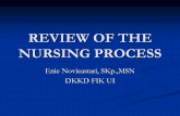 Review of the Nursing Process