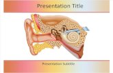 Ear Anatomy of Hearing Powerpoint Template