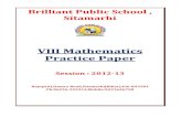 VIII Mathematics C.B.S.E. Practice Paper