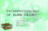 Pathophysiology of Burn Injury