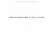 Proceduri VAG COM