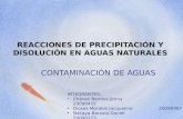 Reacciones de Precipitacion y Disolucion en Aguas Naturales . Final