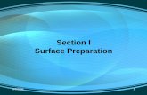 Surface Preparation Guide-SSPC.pdf