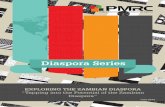 PMRC Diaspora Series - Exploring the Zambia Diaspora “Tapping into Potential of the Zambia Diaspora”