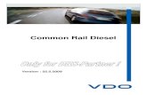 VDO-Siemens Common Rail_2009