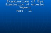Examination of Eye Pt II