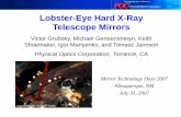 Lobster Eye Hard X-Ray Mirrors