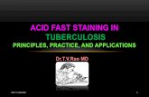 62873556 Acid Fast Staining for TB