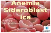 Anemia Sideroblástica corrigido
