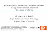 Intermicrobial Interactions - V. Stockwell