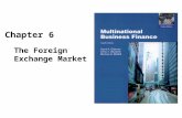 Chapter 6 - The Foreign Exchange Market