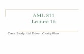 Lecture 16 Lid driven cavity flow