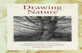 North Light Books - 1995 - Drawing Nature - IsBN 0891345795 - 148s