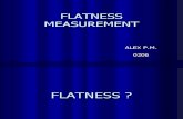 08.Flatness Straightness