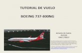 Boeing 737 Tutorial
