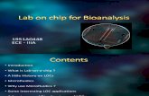 Lab on Chip for Bioanalysis