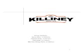 Marketing Plan Killiney