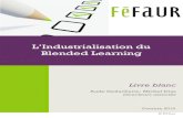 L'Industrialisation du Blended Learning FeFaur